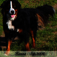 Hanna2008-09