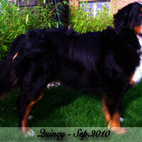 Quincy2010-09
